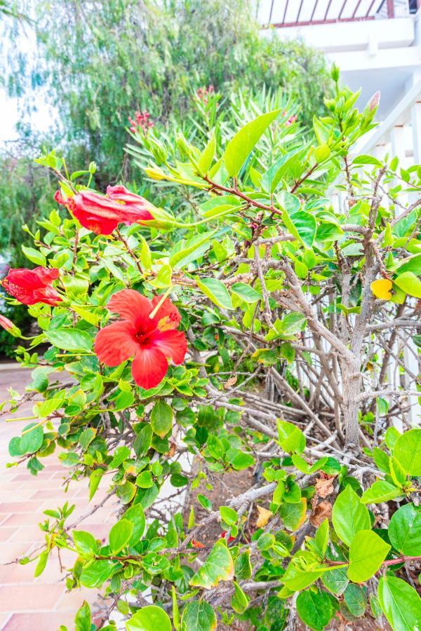 Vivienda Vacacional Sea Garden Costa Teguise Εξωτερικό φωτογραφία